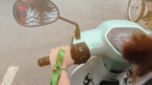 Xã hội học Online VI | Clip 5 màu sắc - MÀU XANH LÁ CÂY